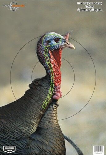 B/C Target Pregame 12"x18" Turkey Target