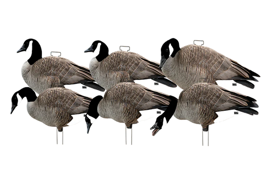 GHG Pro-Grade Silhouette Canada Goose Decoys