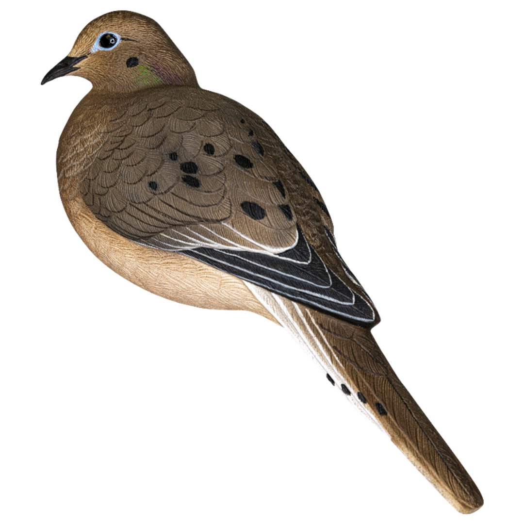Avian X AXP Full Body Dove Decoy 6pk