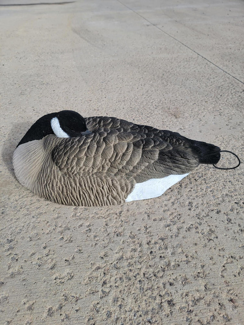 SX Canada Goose Sleeper Shells 6pk