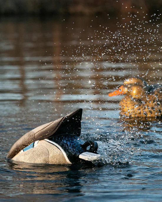 Motion Decoys