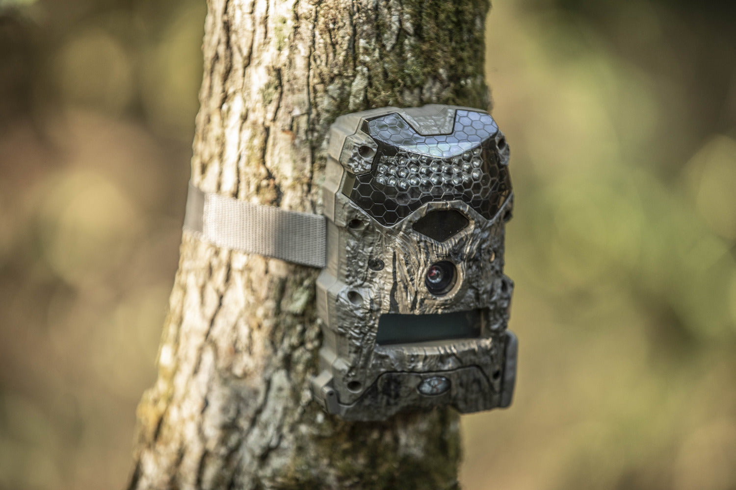 Trail Cameras