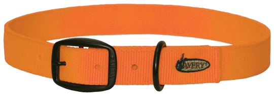 Avery ASD Standard Collar