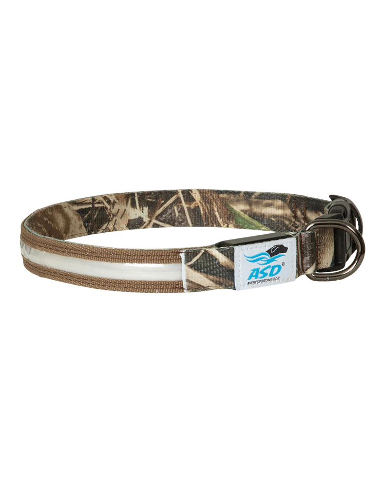 Avery ASD Lighted Collar