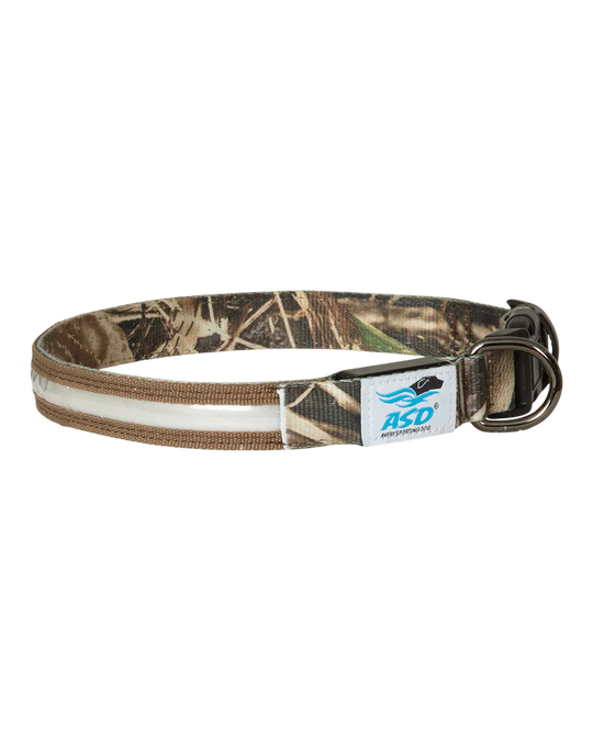 Avery ASD Lighted Collar