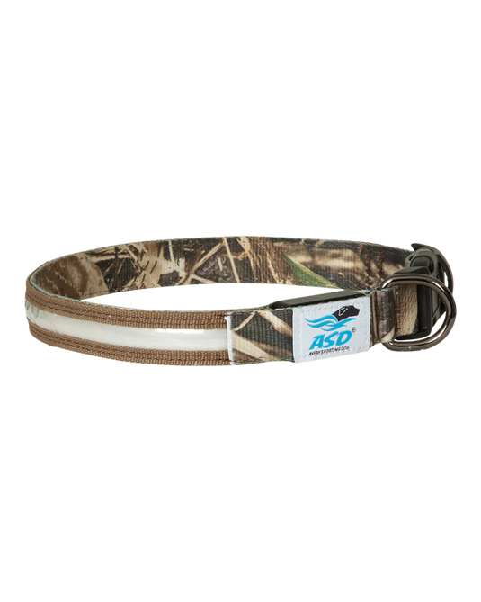 Avery ASD Lighted Collar