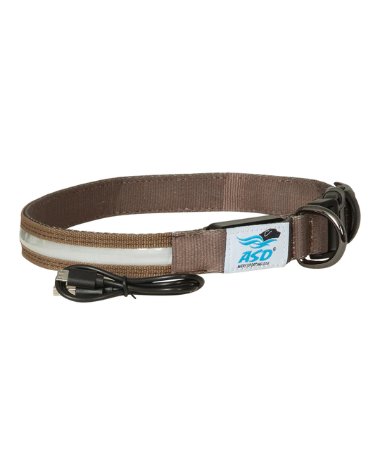 Avery ASD Lighted Collar