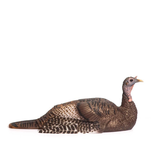 DSD A.C.E. Mating Hen