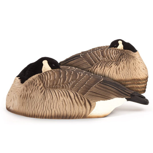 DSD Maxima Honkers - Sleeper Shells - 6 Pack