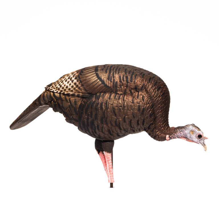 Load image into Gallery viewer, DSD A.C.E. Feeding Hen
