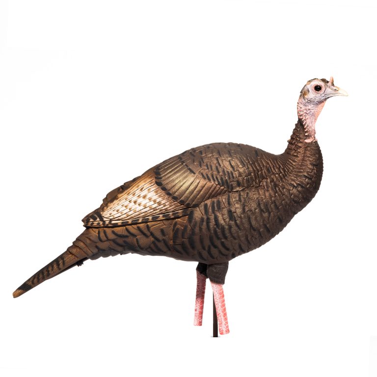 Load image into Gallery viewer, DSD A.C.E. Upright Hen

