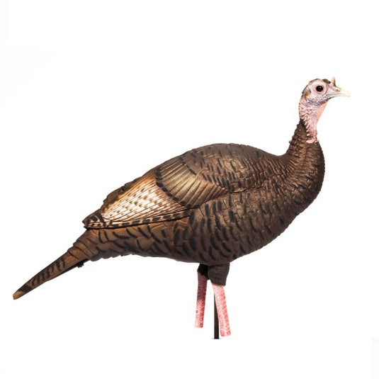 DSD A.C.E. Upright Hen