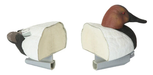 Split canvasback decoys on stands with a white background