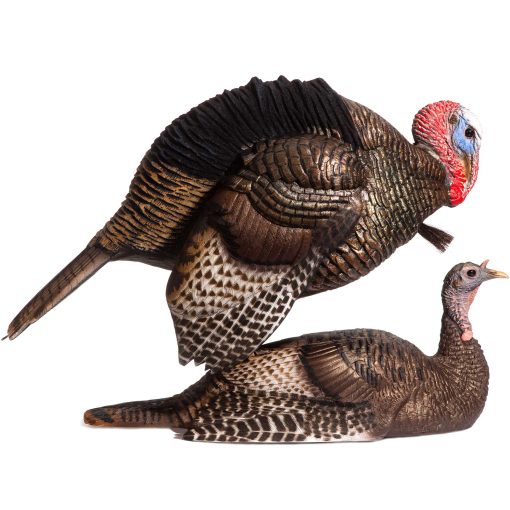 DSD A.C.E. Mating Motion Pair