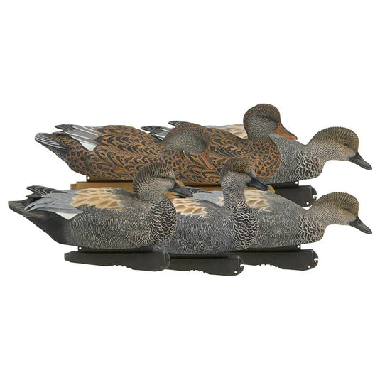 Set of gadwall duck decoys on a white background