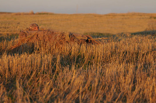 Avery Killerweed Singles