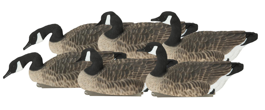 GHG Pro-Grade XD Canada Floater Harvester Pack Decoys - 6PK