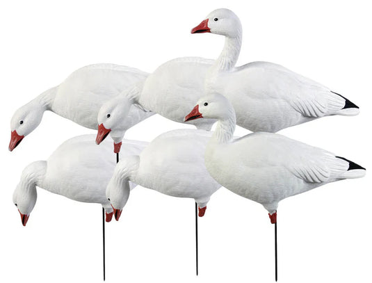 GHG Pro Grade Full Body Snow Goose Harvester 6pk