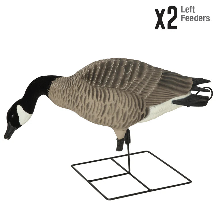 GHG Pro-Grade XD Series Full Body Honkers - Feeder Pack