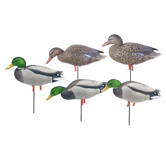 Five duck decoys on stands against a white background