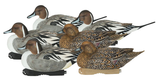 Set of pintail decoys on a white background