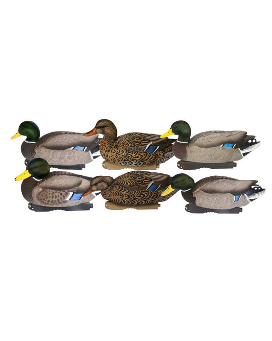 Set of six duck decoys on a white background