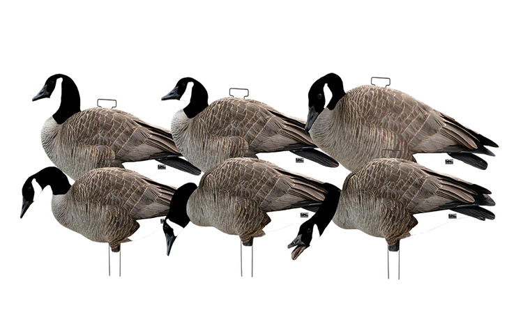 Load image into Gallery viewer, GHG Pro-Grade Silhouette Canada Goose Decoys
