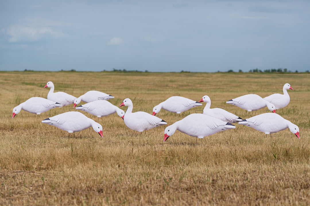GHG Pro-Grade Silhouette Snow Goose Decoys