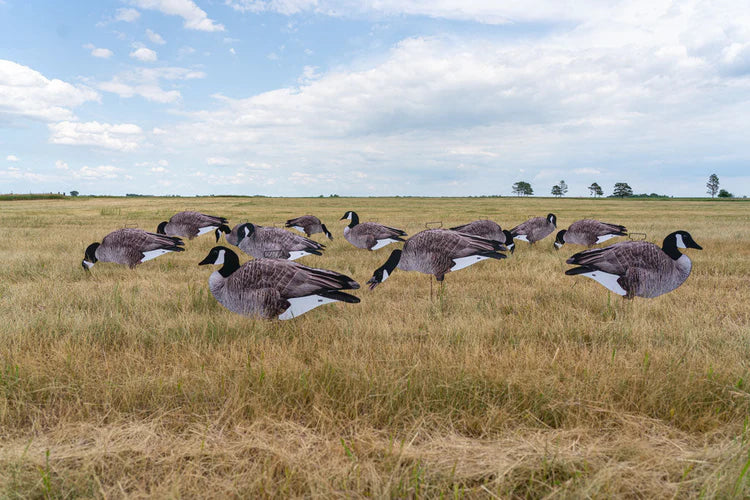 Load image into Gallery viewer, GHG Pro-Grade Silhouette Canada Goose Decoys

