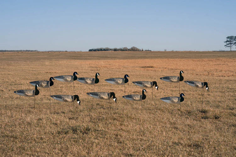 Load image into Gallery viewer, Geese decoys arranged in a circle on a grassy field with a clear blue sky.
