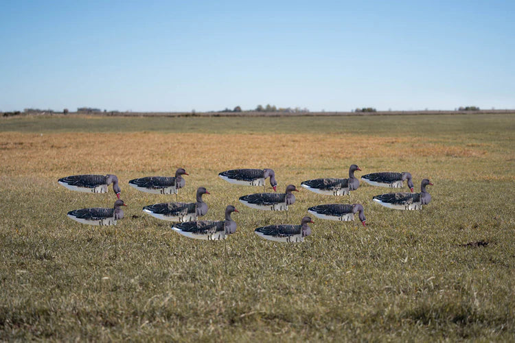 GHG Pro-Grade Specklebelly Goose Sock Decoys