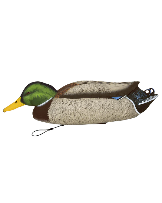 Duck decoy on a white background