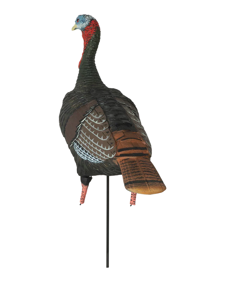 GHG Pro-Grade XD Series Upright Jake Turkey Decoy