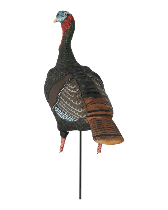 GHG Pro-Grade XD Series Upright Jake Turkey Decoy