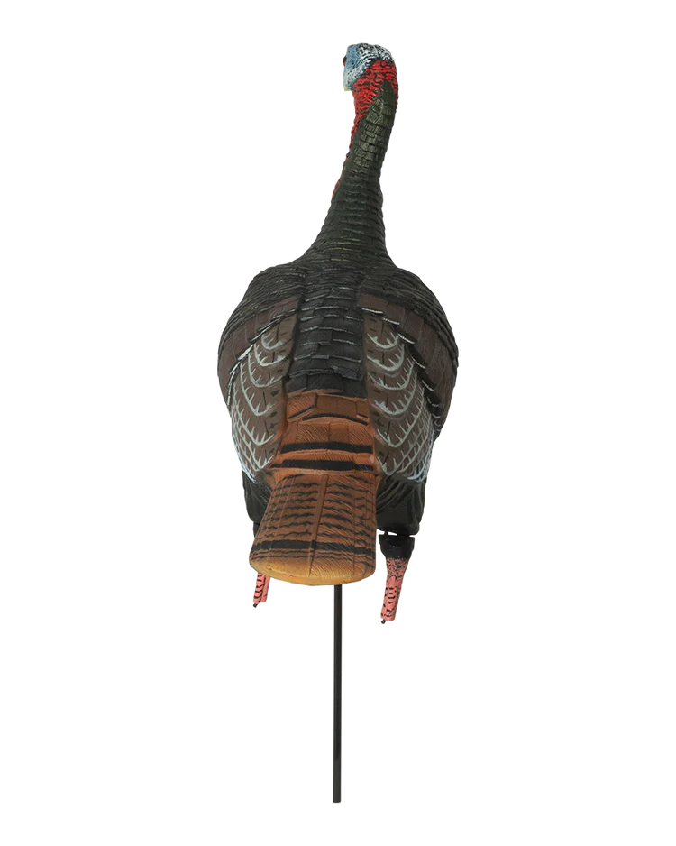 GHG Pro-Grade XD Series Upright Jake Turkey Decoy