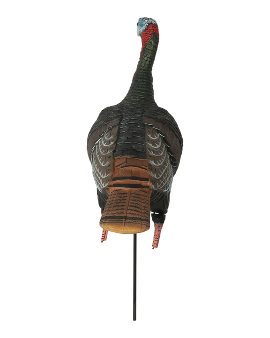 GHG Pro-Grade XD Series Upright Jake Turkey Decoy