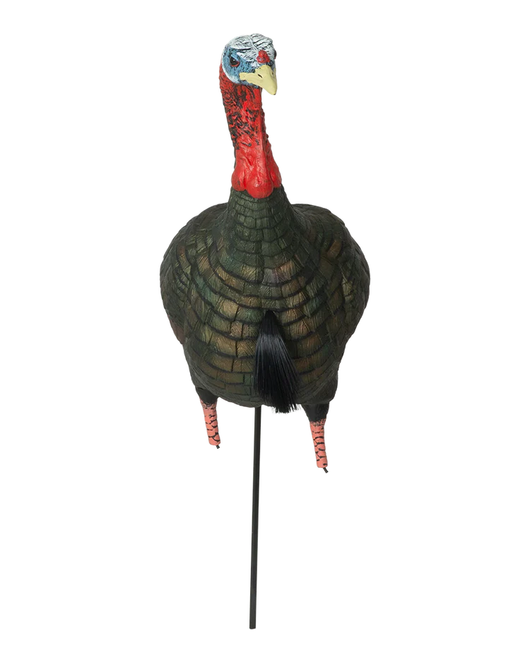 GHG Pro-Grade XD Series Upright Jake Turkey Decoy