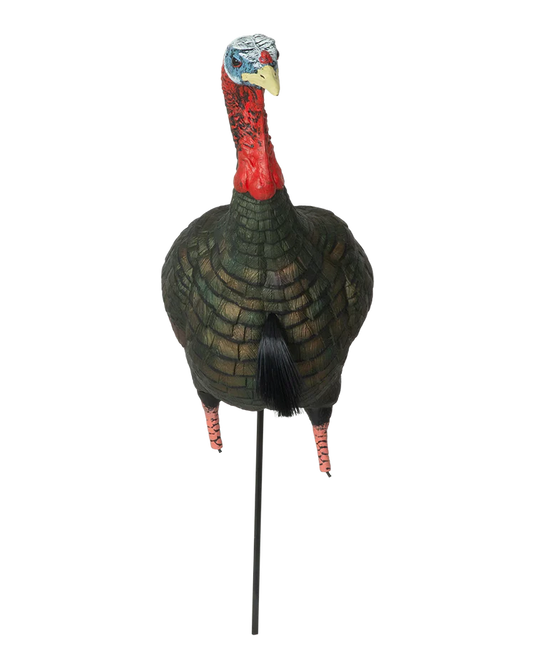 Realistic turkey decoy on a white background