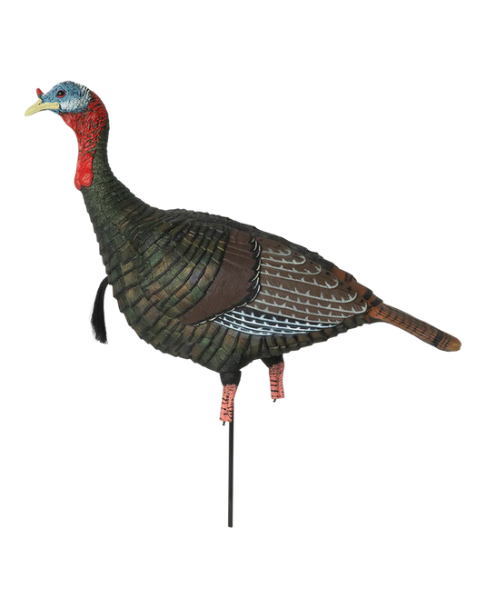 Realistic turkey decoy on a white background