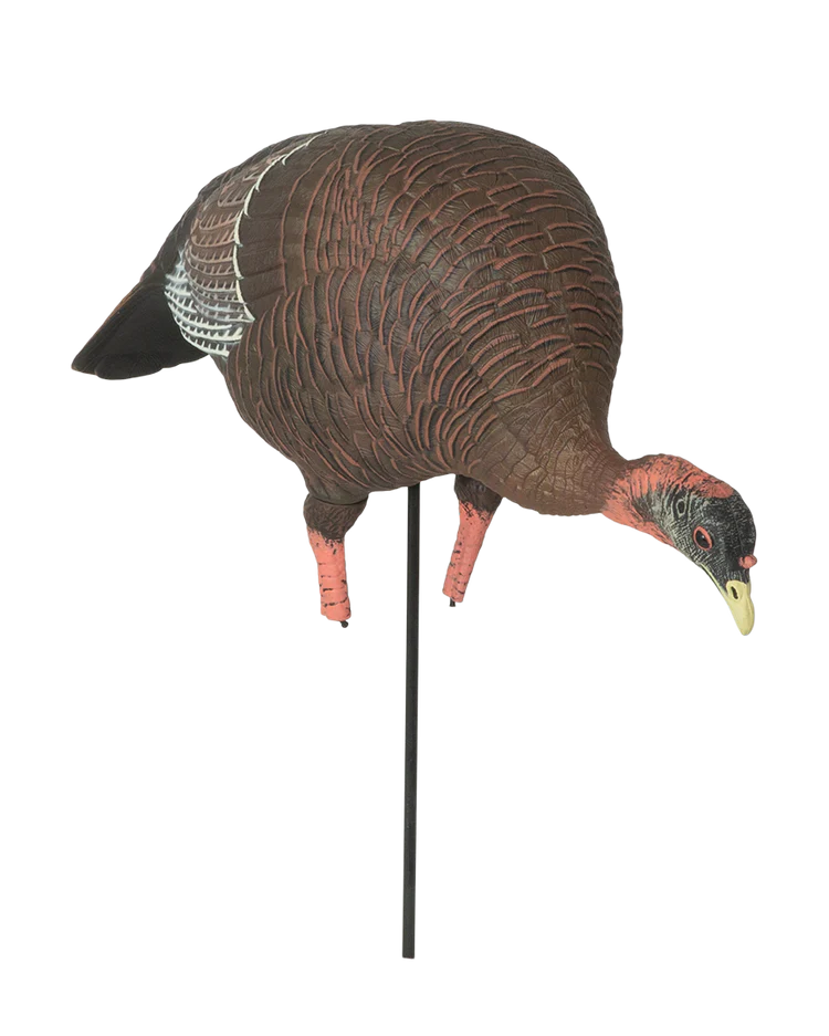 Load image into Gallery viewer, Turkey decoy on a stand with a clear background
