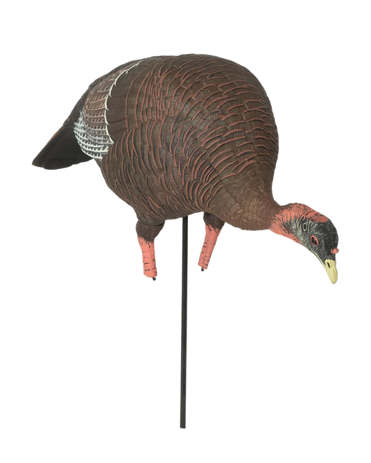 Turkey decoy on a stand with a clear background