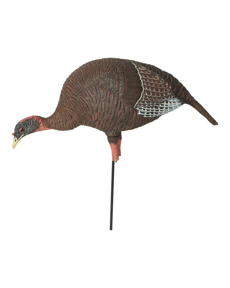 Load image into Gallery viewer, Turkey decoy on a stand with a clear background
