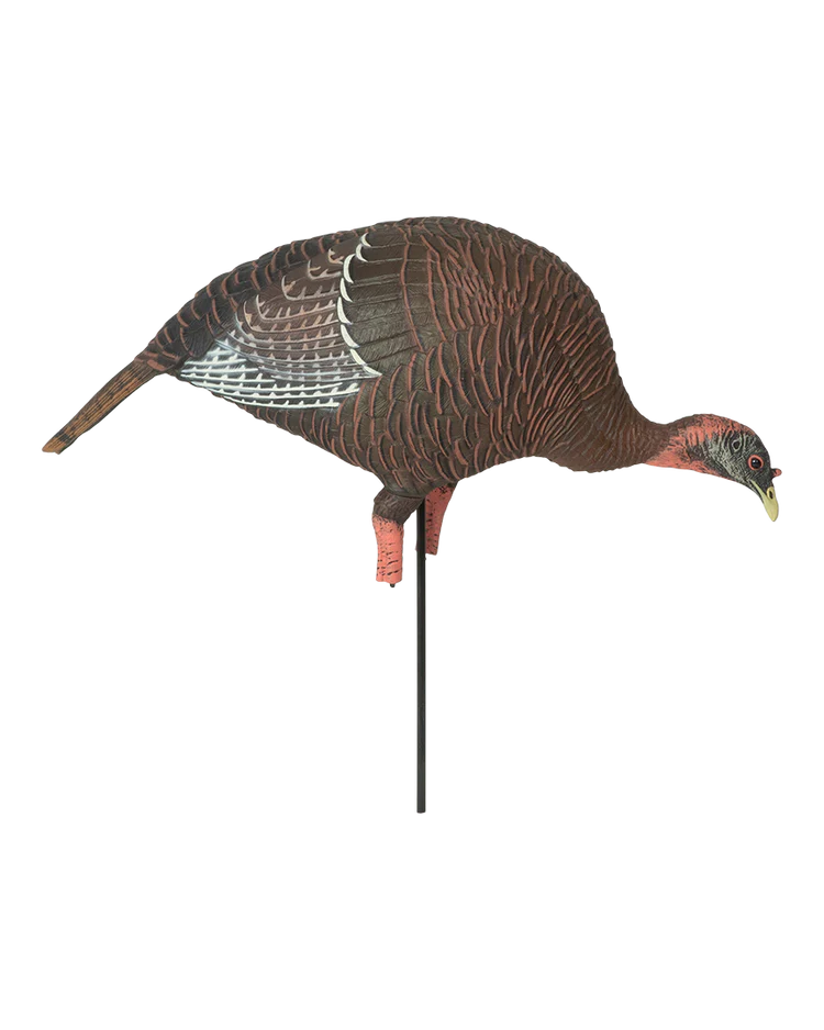 Load image into Gallery viewer, Turkey decoy on a stand with a clear background
