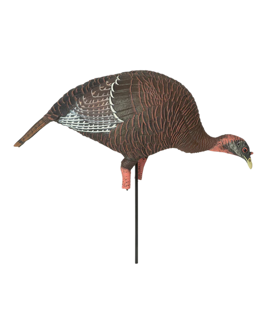 Turkey decoy on a stand with a clear background