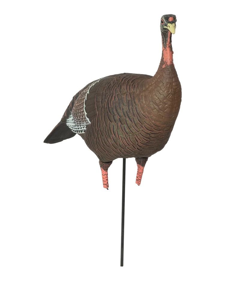 Load image into Gallery viewer, Turkey decoy on a stand with a transparent background
