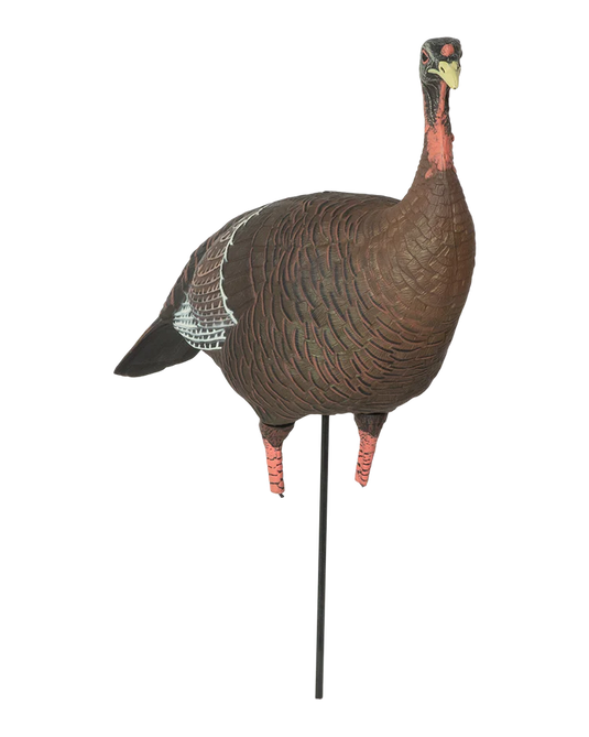 Turkey decoy on a stand with a transparent background