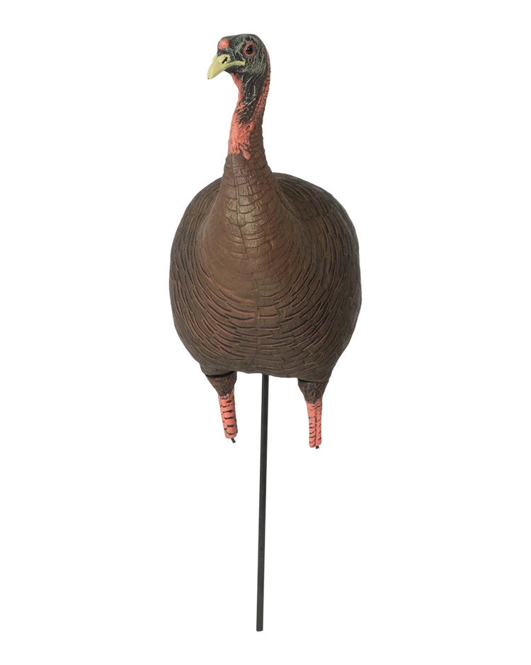 Load image into Gallery viewer, Turkey decoy on a stand with a transparent background
