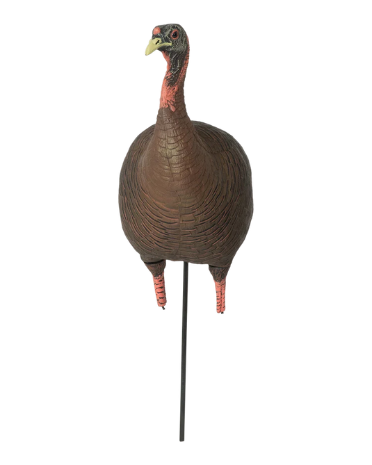 Turkey decoy on a stand with a transparent background