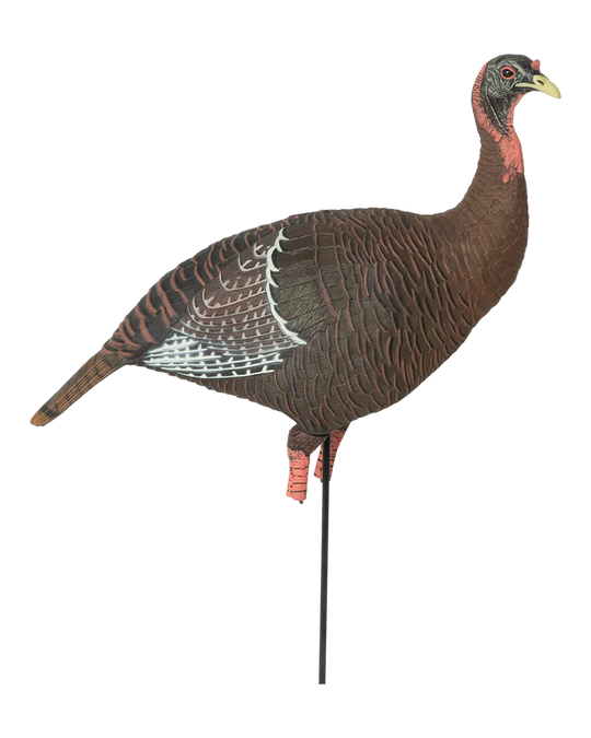 GHG Pro-Grade XD Upright Hen Turkey Decoy
