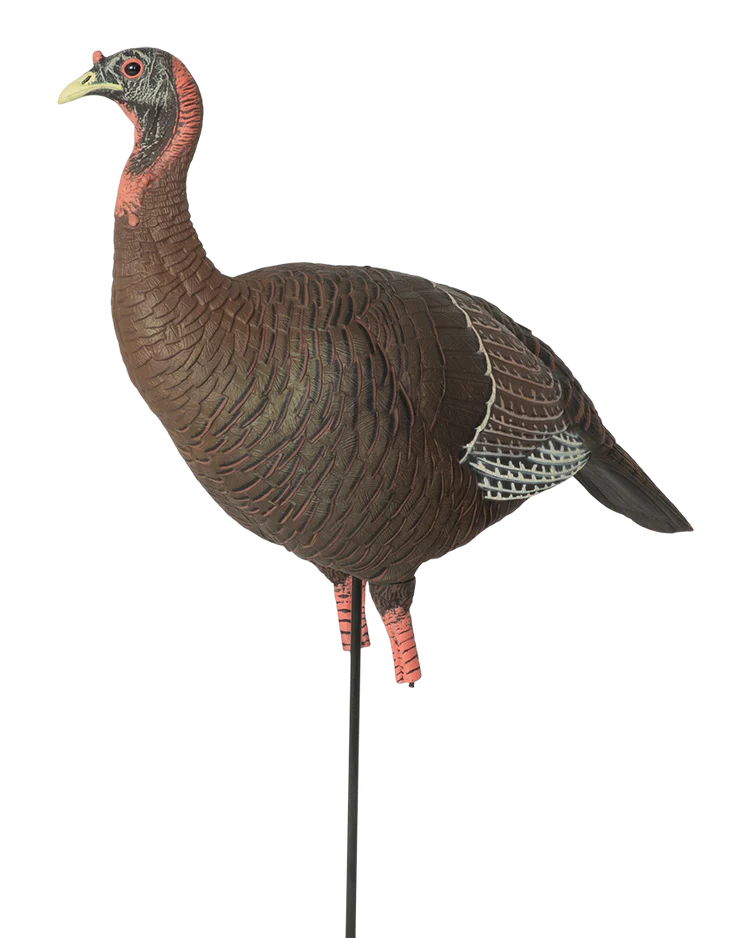 Load image into Gallery viewer, Turkey decoy on a stand with a transparent background
